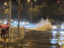 嘉定明后天有大到暴雨