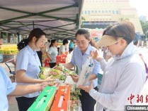 广西提升粮食仓储设施水平 护粮食供应安全