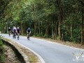 海南发布暴雨四级预警 启动防汛防风Ⅳ级应急响应