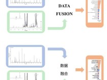 中外科研团队联手发布时空算法工具包最新研究成果