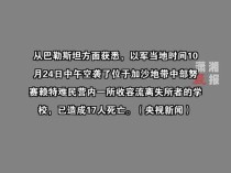 加沙努赛赖特难民营学校遭袭 已致17人死亡