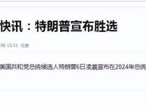 美国2024大选初步结果明朗：特朗普共获312张选举人票