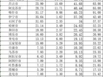 做强首府城市功能定位！新疆党政一把手为乌鲁木齐把脉会诊