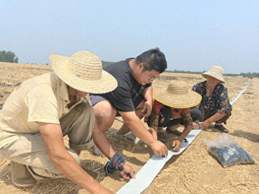 山西大同：有机旱作农业助增收