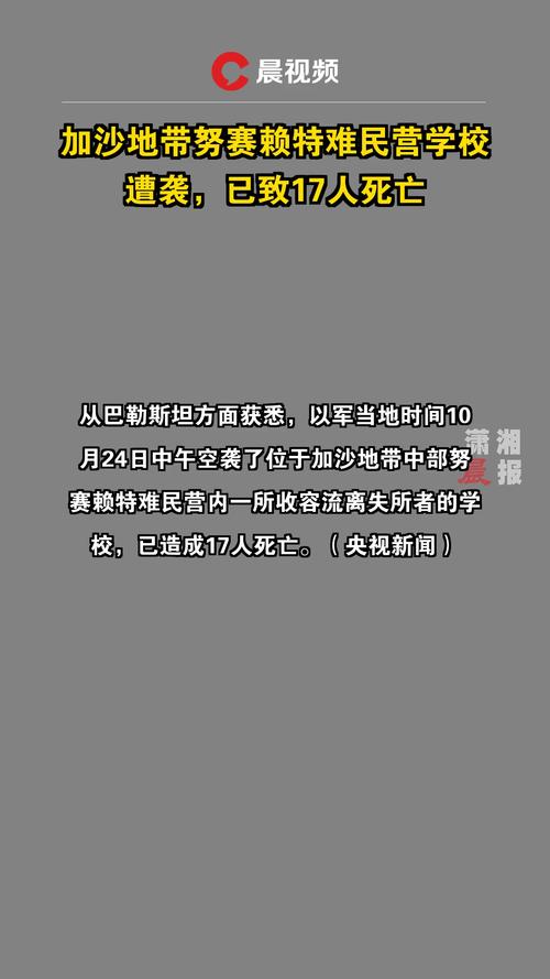 加沙努赛赖特难民营学校遭袭 已致17人死亡