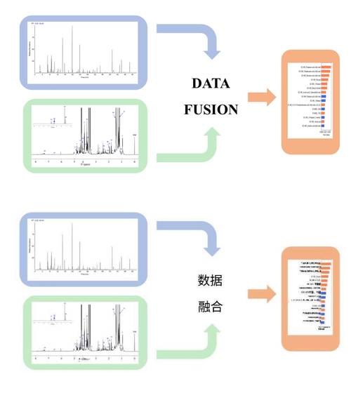 中外科研团队联手发布时空算法工具包最新研究成果