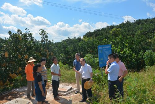 【调研快报】力合微接待深圳市德远投资有限公司等多家机构调研