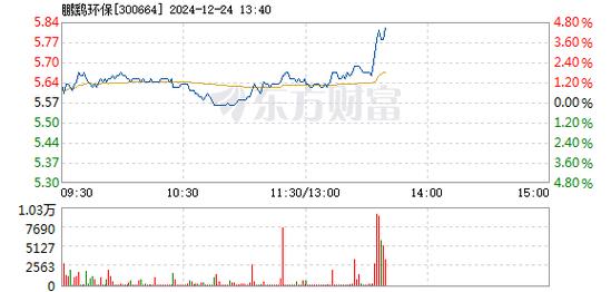 鹏鹞环保1月6日快速反弹