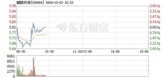 鹏鹞环保1月6日快速反弹