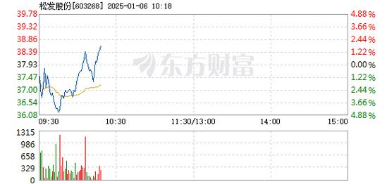 青松股份1月6日快速反弹