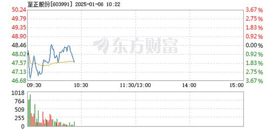 至正股份12月31日快速上涨