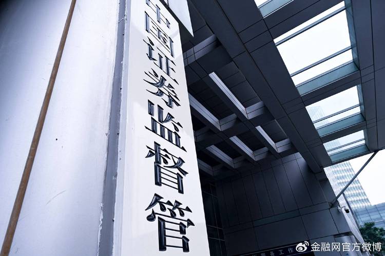 许淼操纵金陵体育股票被罚3.13亿元