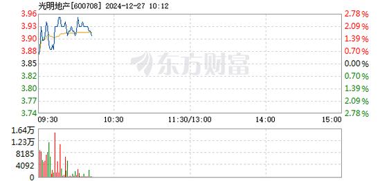 光明地产1月10日快速上涨