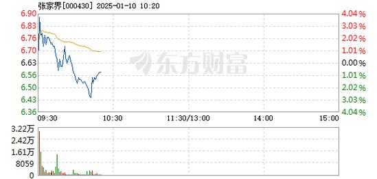 湖南天雁1月10日快速反弹