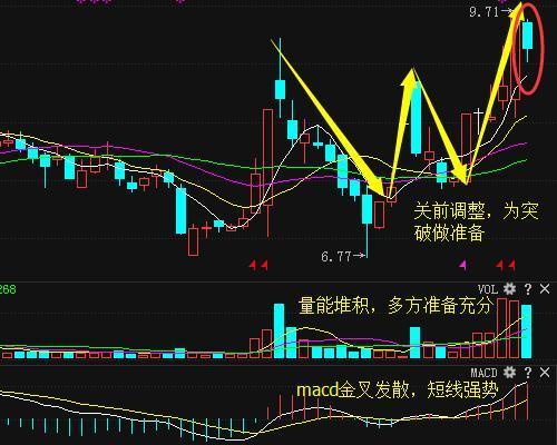 湖南天雁1月10日快速反弹