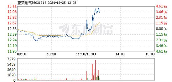 望变电气1月7日快速上涨